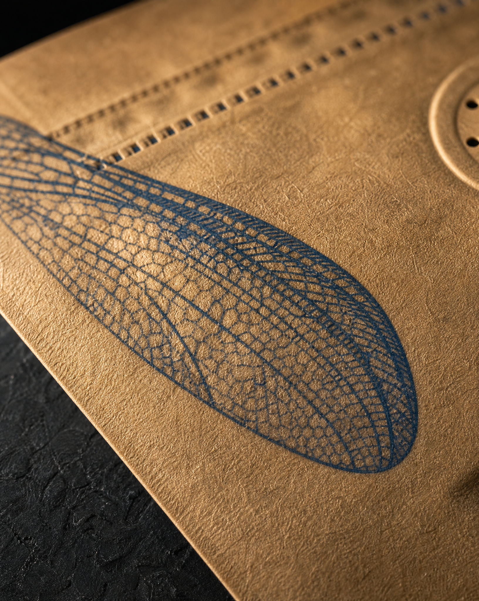 Macro of a single-ink engraved dragonfly wing printed direct onto kraft pouch fibre