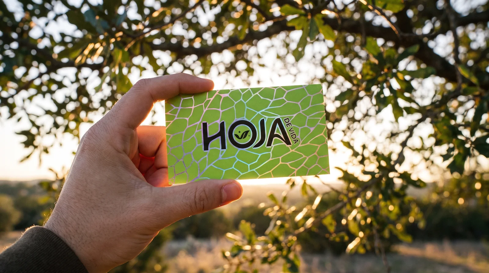 Business-cards for HOJA DE VIDA with holographic veins: debossed embossed and black logo, debossed foil stamping, 3.5 × 2 in business cards, 32 pt duplexed cotton, pantone 375 c flood and contact details in black ink.