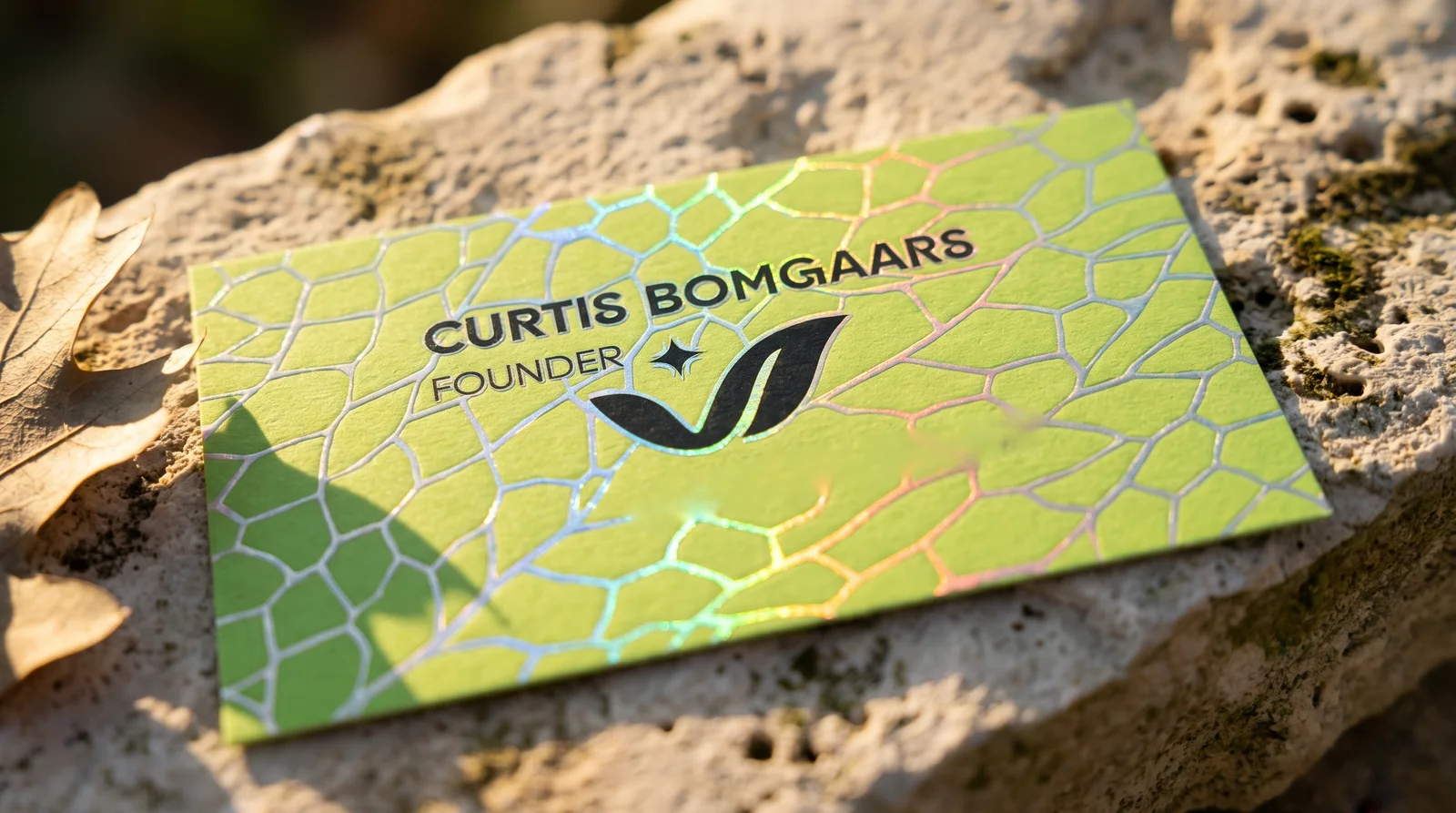 The back of the HOJA card on a limestone ledge in late sun, its leaf cells embossed and its foil veins glinting