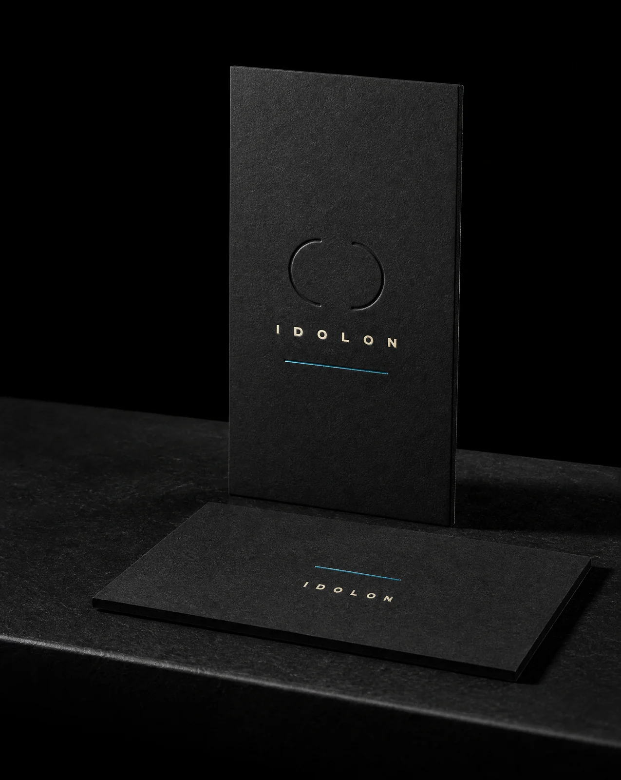 IDOLON case study