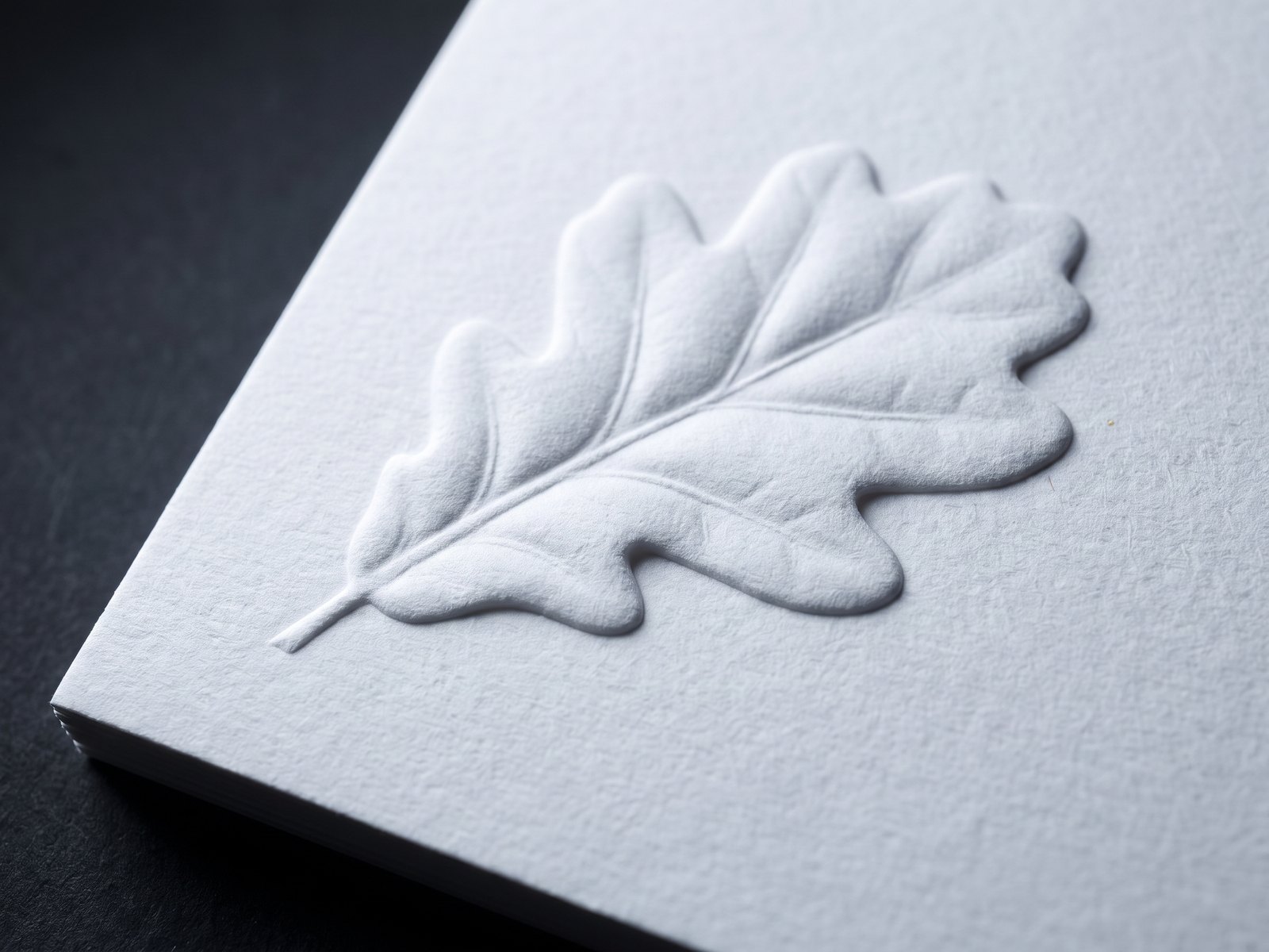 Multi-level sculpted emboss relief in thick white cotton paper