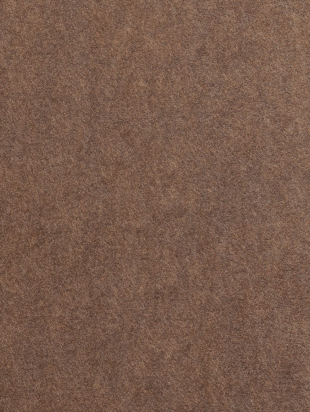 Colorplan Bagdad Brown paper swatch — bagdad brown