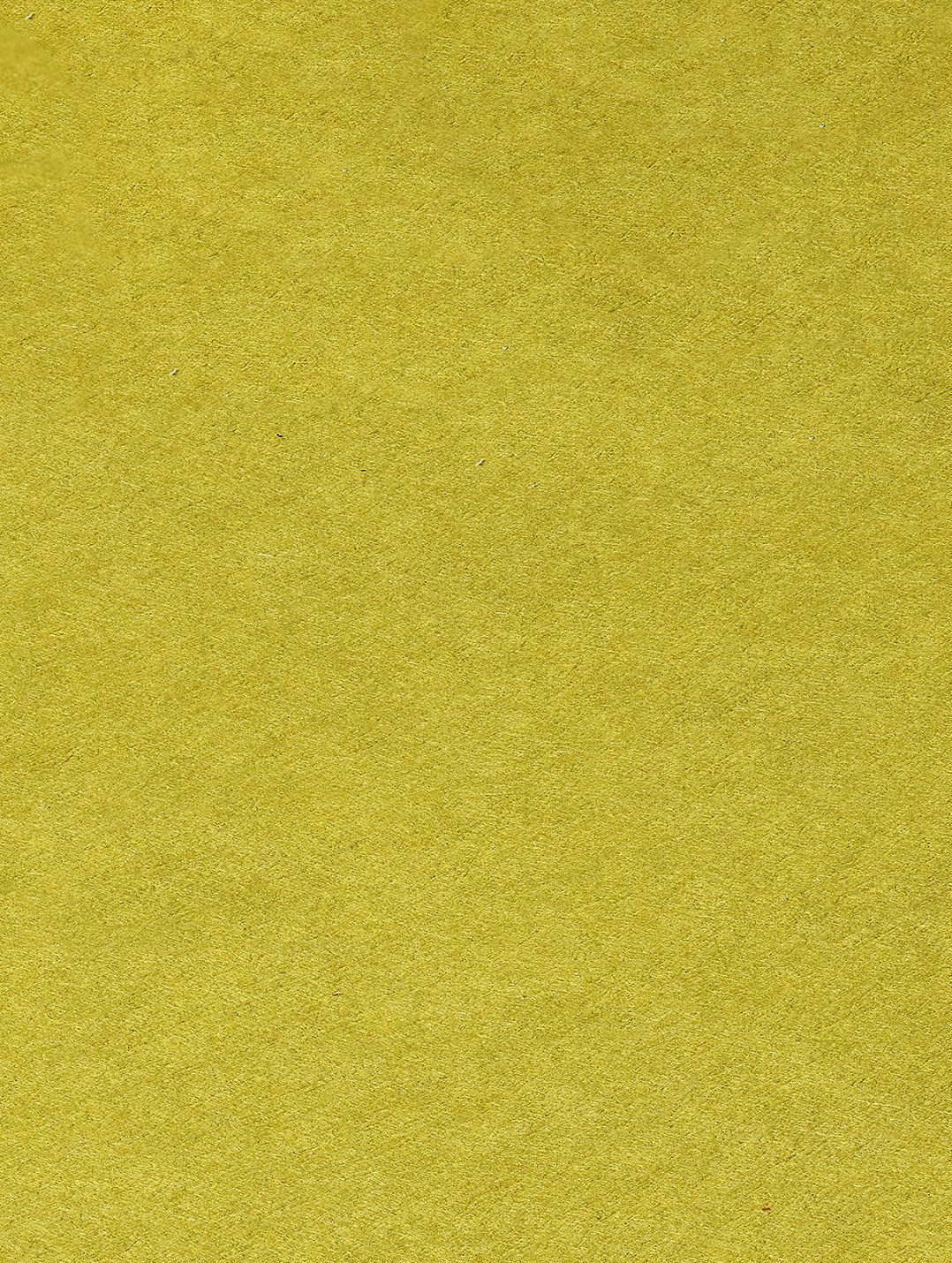 Colorplan Chartreuse paper swatch — chartreuse