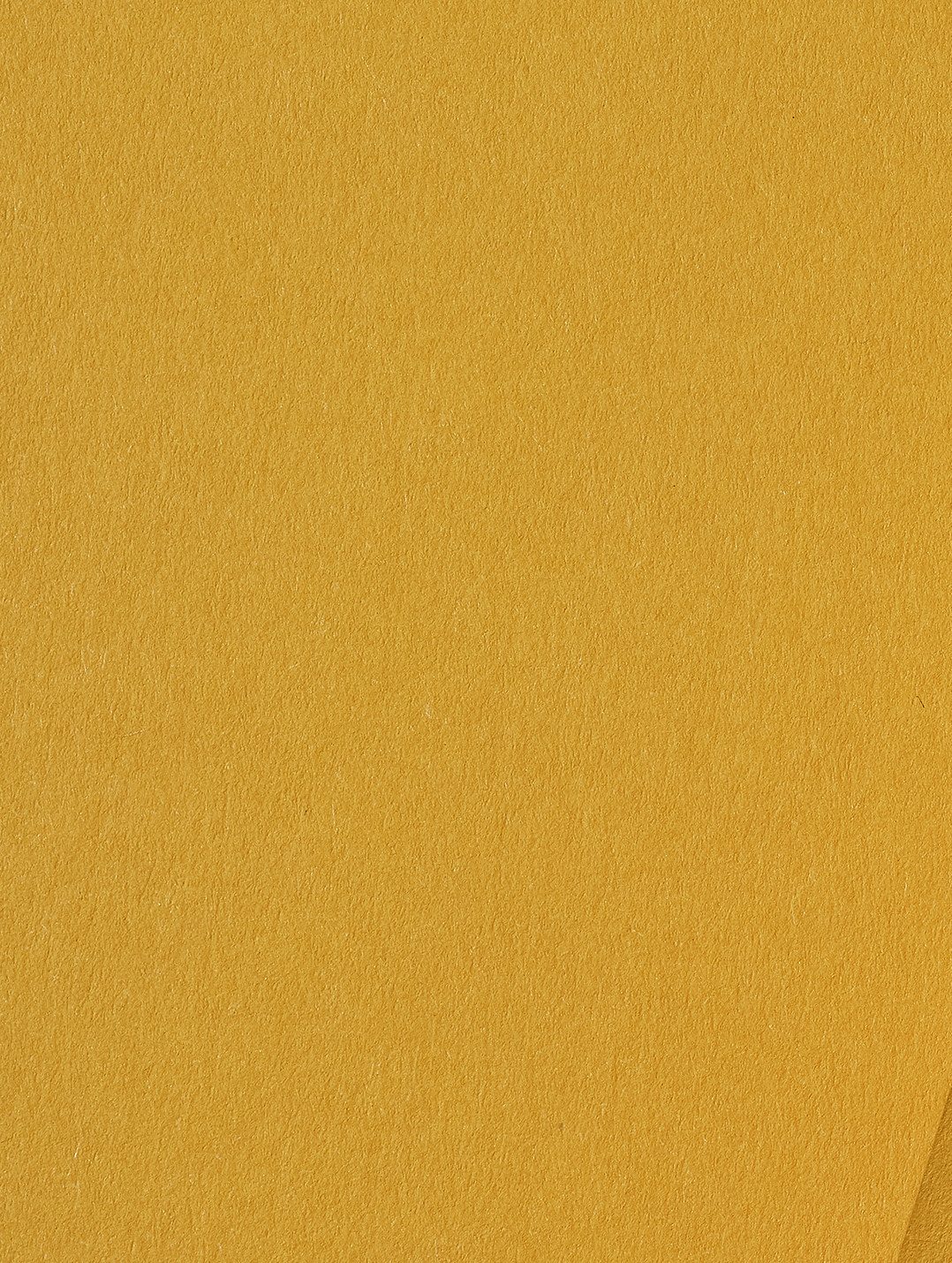 Colorplan Citrine paper swatch — citrine