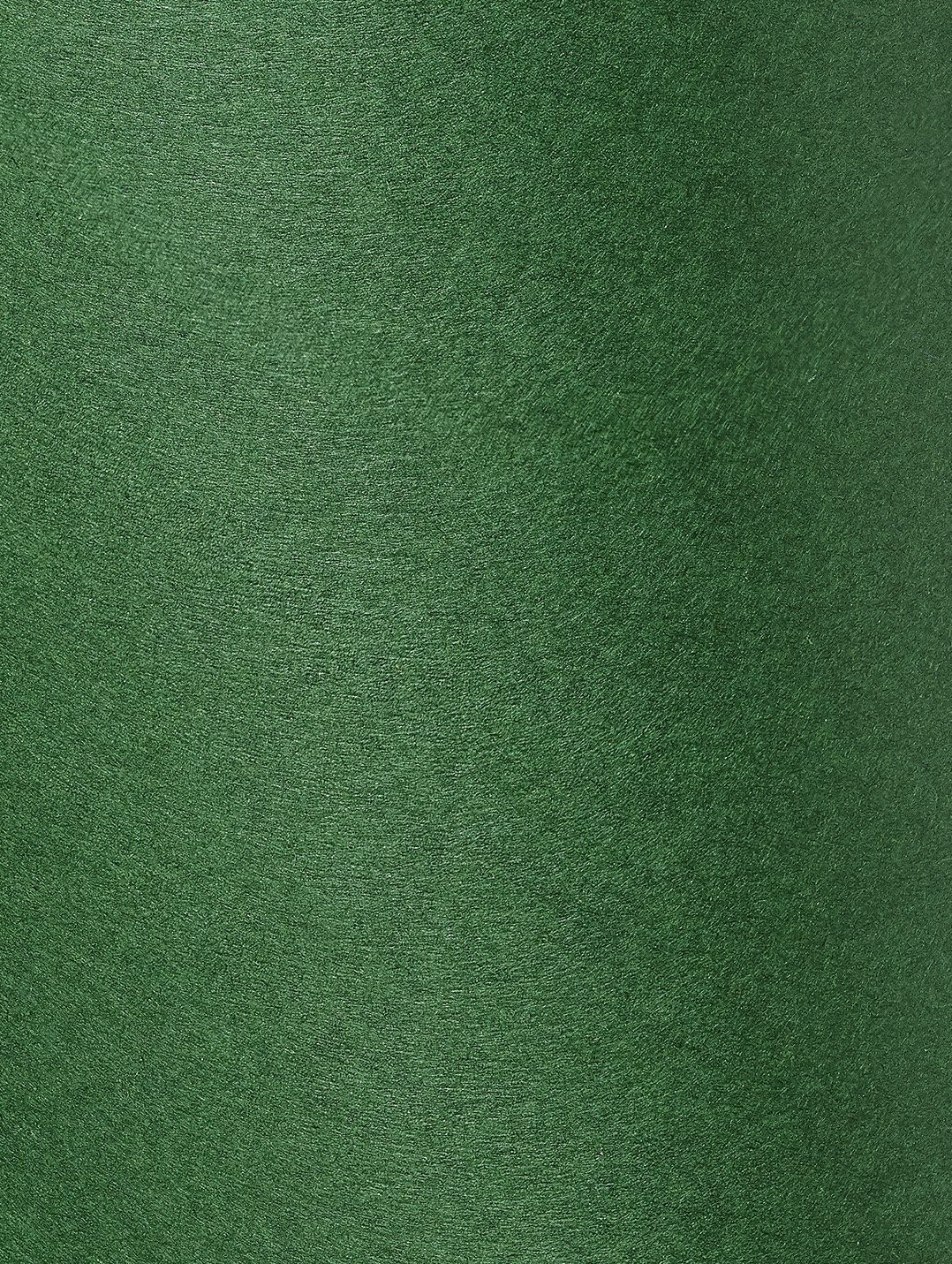 Colorplan Forest paper swatch — forest