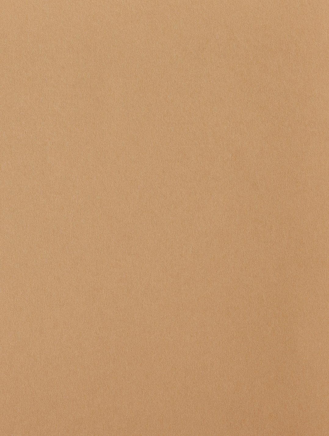 Colorplan Harvest paper swatch — harvest