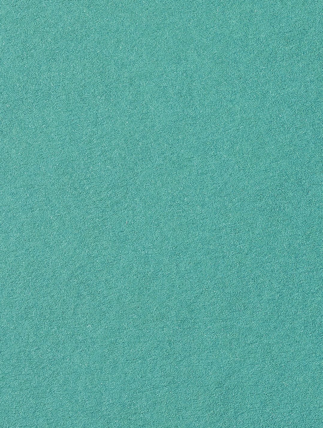 Colorplan Marrs Green paper swatch — marrs green