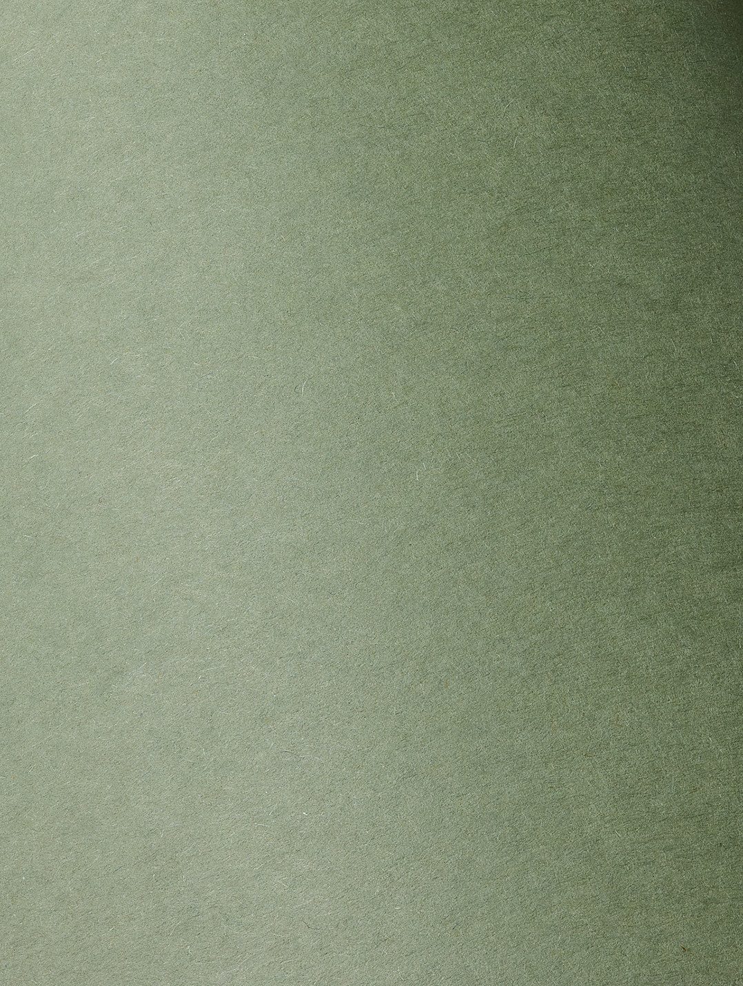 Colorplan Mid Green paper swatch — mid green