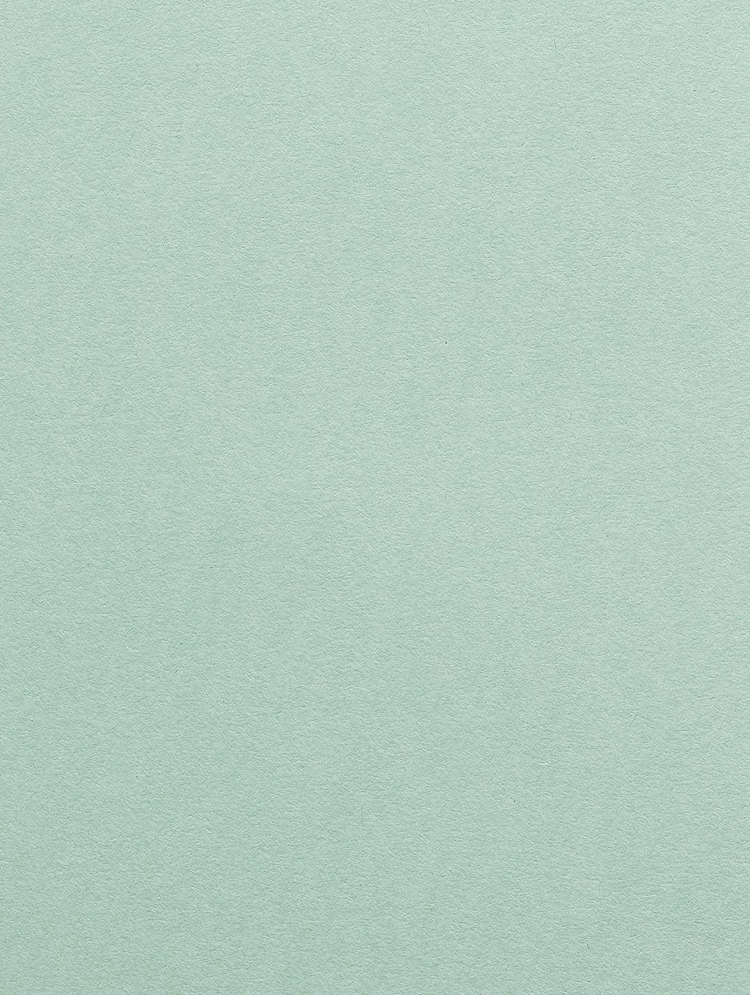 Colorplan Park Green paper swatch — park green