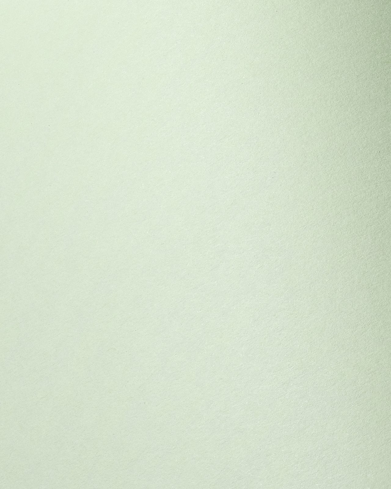 Colorplan Pistachio paper swatch — pistachio
