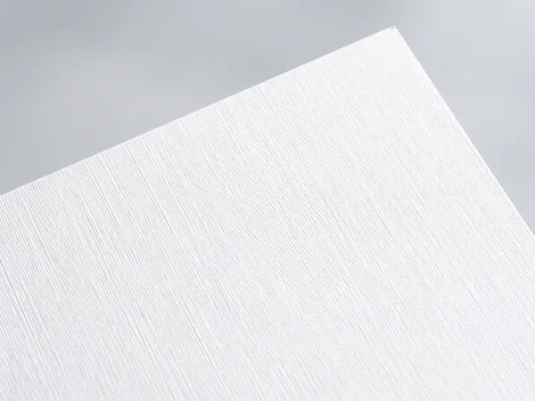 Constellation Snow E21 Silk swatch