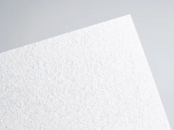 Constellation Snow E49 Country paper swatch: E49 Country, high-white uncoated, embossed (one or both sides)