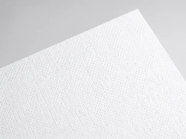 Constellation Snow E/R55 Aida paper swatch: E/R55 Aida, high-white uncoated, embossed (one or both sides)