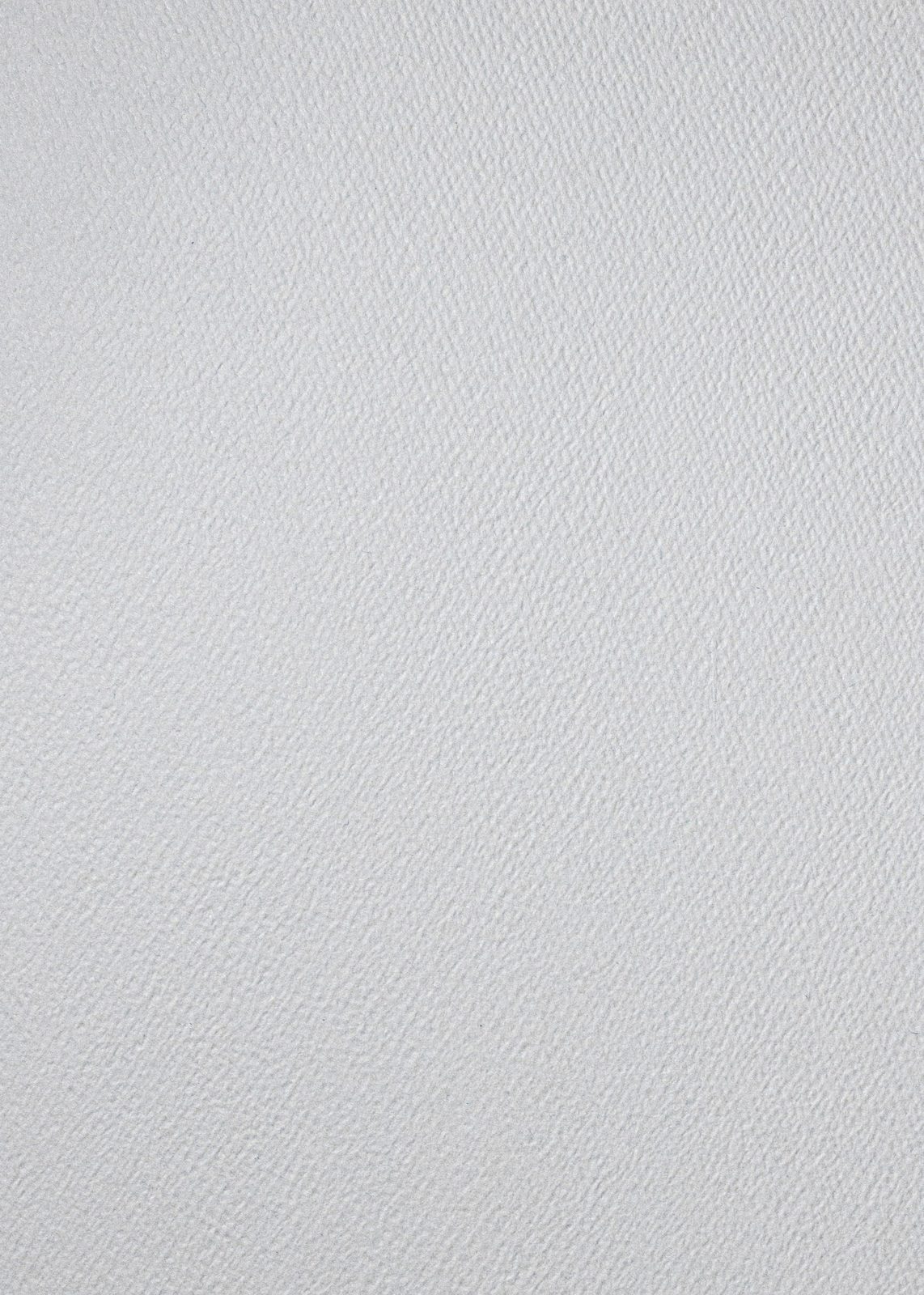 GF Smith Stipple embossing — A dense field of fine dots, like a stippled drawing. Even, mechanical, quiet.