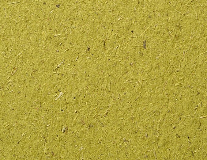 Gmund Bio Cycle Chlorophyll paper swatch — olive-chartreuse Blattgrün green shot through with straw fibre
