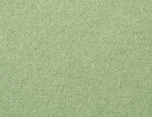 Gmund Colors Matt 03 · Sage paper swatch — soft sage green