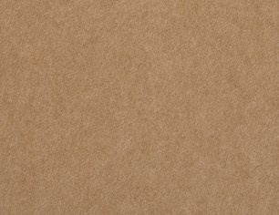 Gmund Colors Matt 12 · Camel paper swatch — camel brown