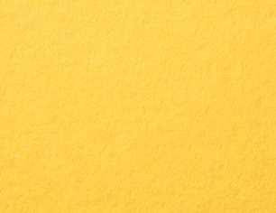 Gmund Colors Matt 31 · Sunflower paper swatch — saturated yellow