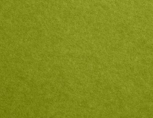 Gmund Colors Matt 65 · Olive paper swatch — olive moss green