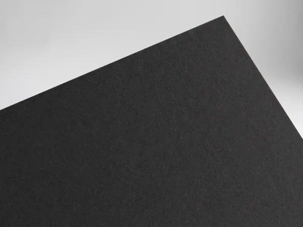 Wild Natural Black swatch