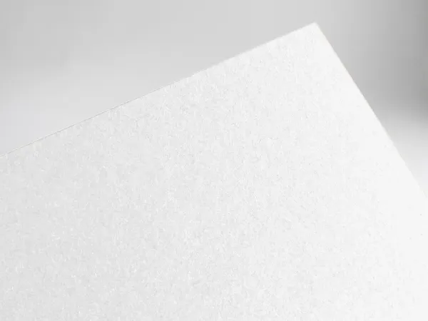 Wild Natural White swatch