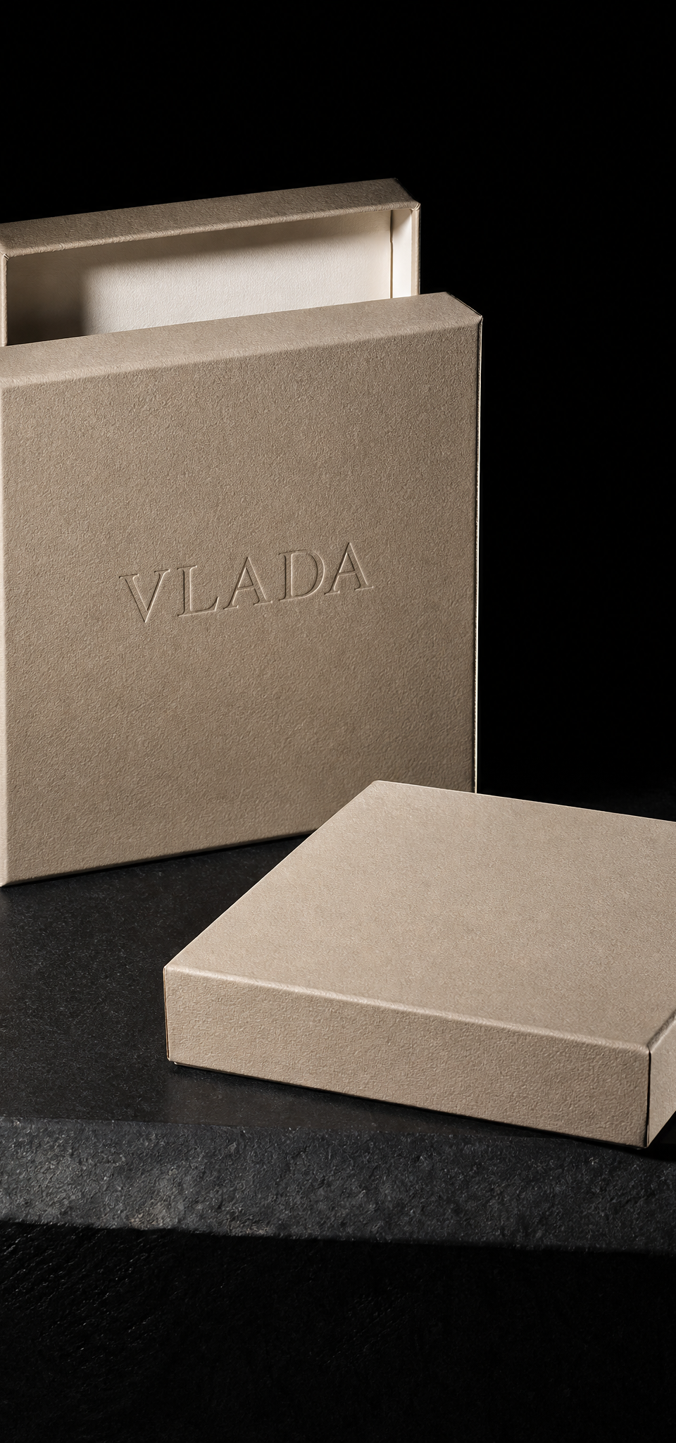Vlada case study