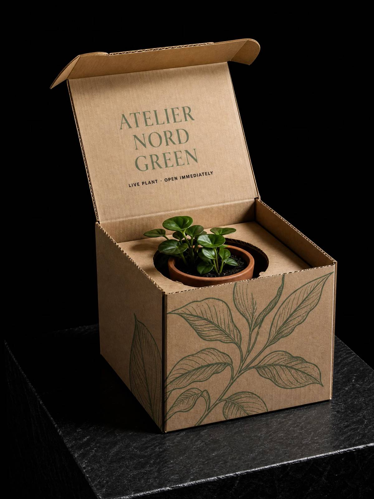 Boxes concept: die-cut · pantone-spot-color