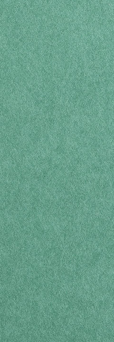 Colorplan Emerald paper swatch