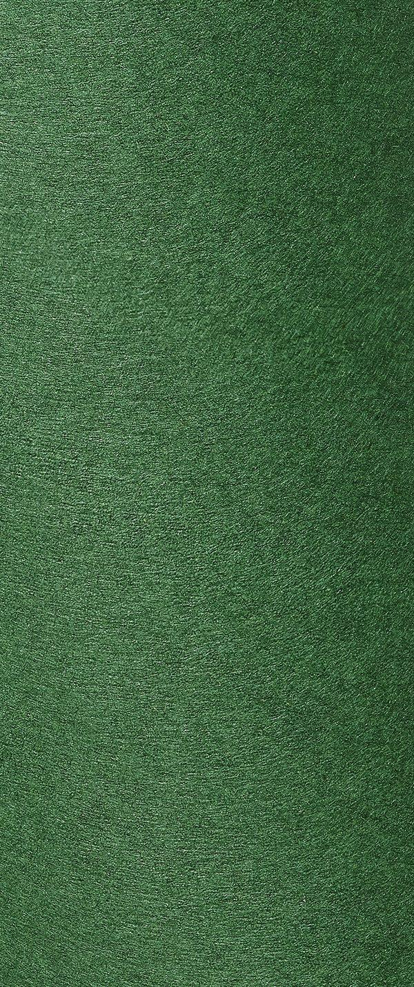 Colorplan Forest paper swatch: forest