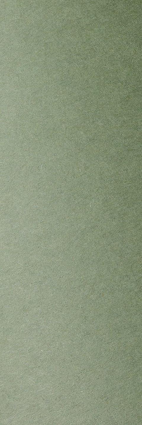 Colorplan Mid Green paper swatch
