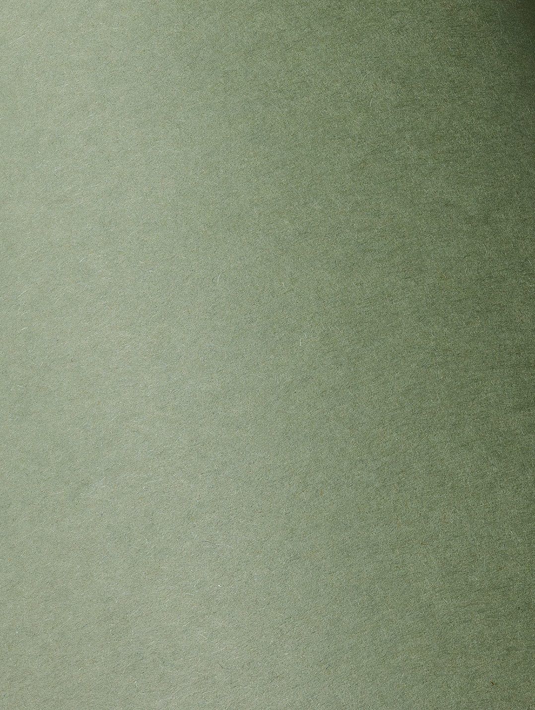 Colorplan Mid Green, mid green paper swatch