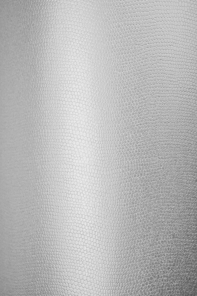 Constellation Jade E53 Lizard emboss paper swatch — pearlescent white, mother-of-pearl shimmer