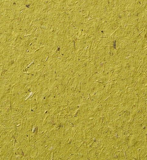 Gmund Bio Cycle Chlorophyll paper swatch