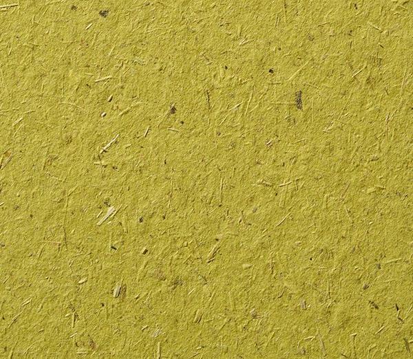Gmund Bio Cycle Chlorophyll paper swatch: olive-chartreuse Blattgrün green shot through with straw fibre