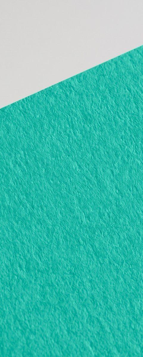 Sirio Color Rough Oasis Green paper swatch