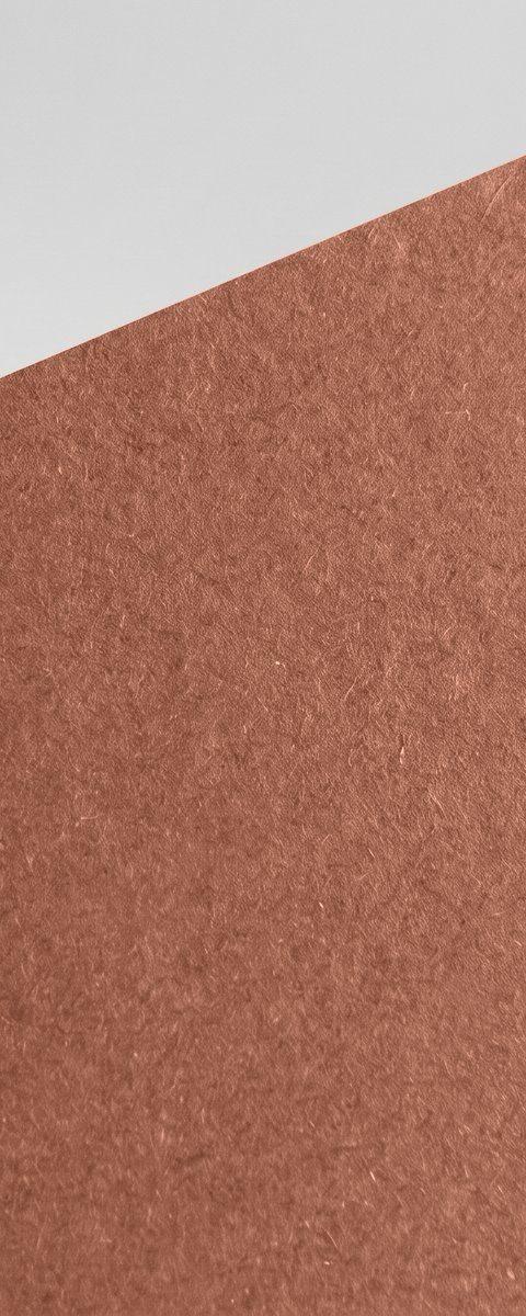 Wild Clay paper swatch