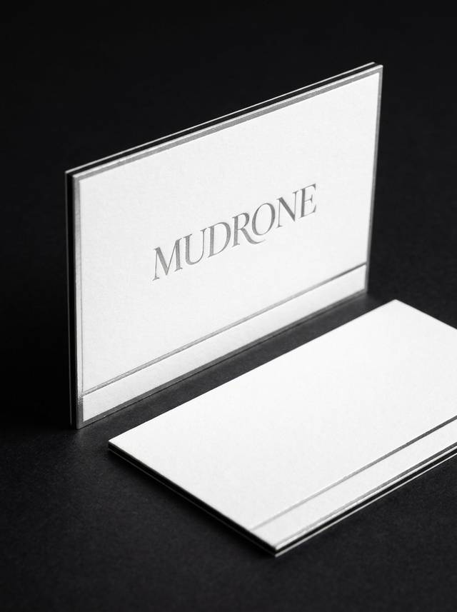 Vector Precision concept: 32pt cotton duplex · emboss · foil